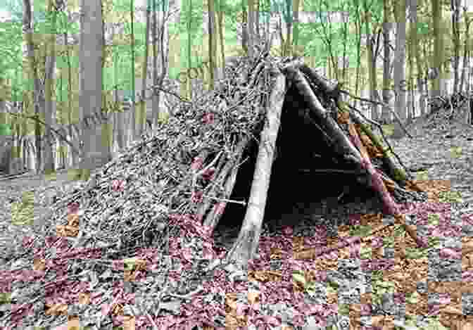 Building A Lean To Shelter Using Branches And Leaves The Ultimate Bushcraft Survival Manual: 272 Wilderness Skills (Outdoor Life)