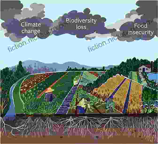 Image Depicting The Impact Of Mediocrity On Nature, Showing A Stagnant Forest With Limited Biodiversity Good Enough: The Tolerance For Mediocrity In Nature And Society