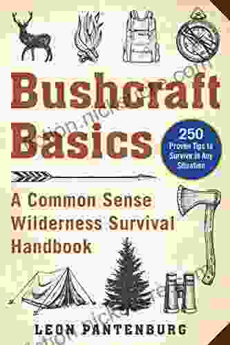 Bushcraft Basics: A Common Sense Wilderness Survival Handbook