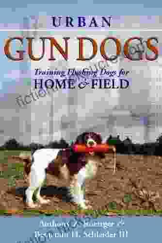 Urban Gun Dogs: Training Flushing Dogs For Home And Field