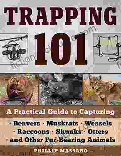 Trapping 101: A Complete Guide To Taking Furbearing Animals